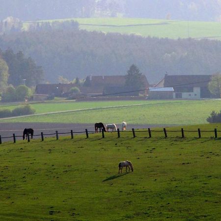 Haus Hollerbusch Lägenhet Neunburg vorm Wald Exteriör bild