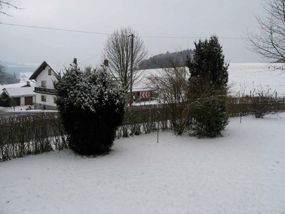 Haus Hollerbusch Lägenhet Neunburg vorm Wald Exteriör bild