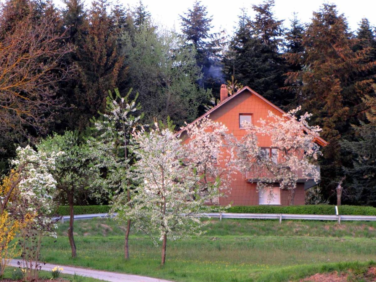 Haus Hollerbusch Lägenhet Neunburg vorm Wald Exteriör bild