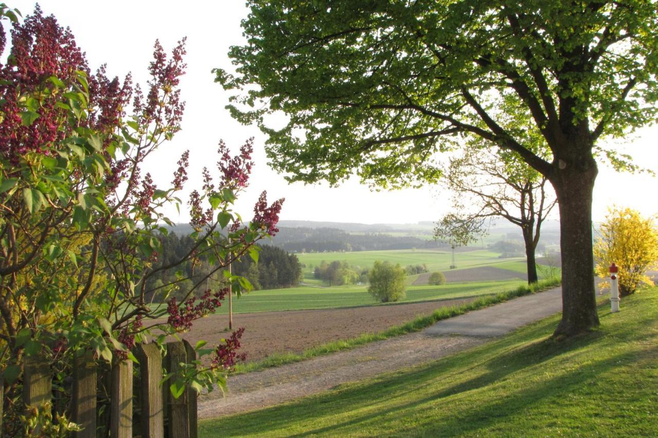Haus Hollerbusch Lägenhet Neunburg vorm Wald Exteriör bild