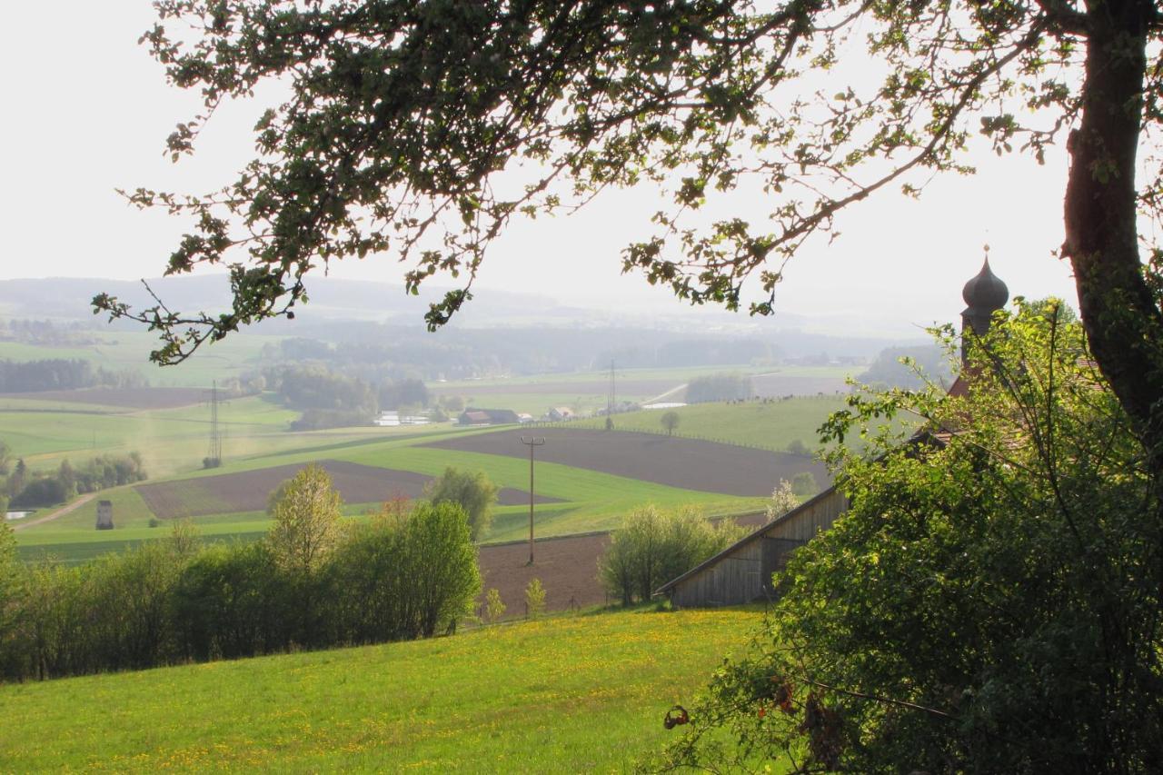 Haus Hollerbusch Lägenhet Neunburg vorm Wald Exteriör bild